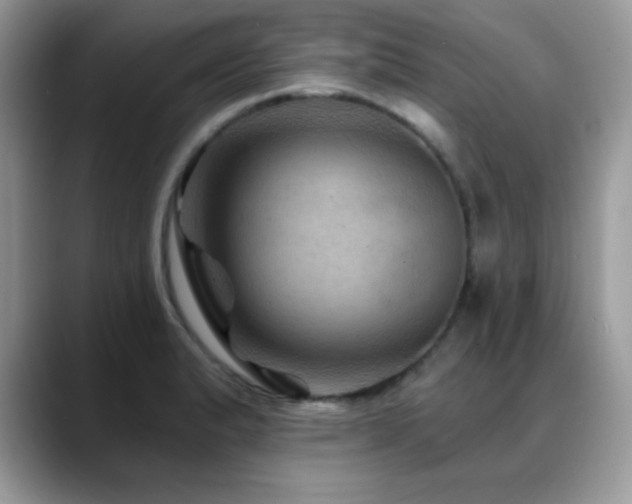 X0000088861183200706081147