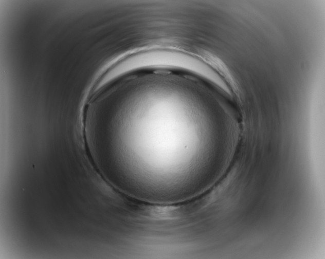 X0000088861184200706081147