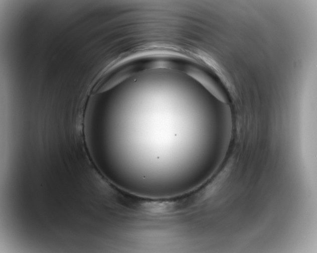 X0000088861185200706081147