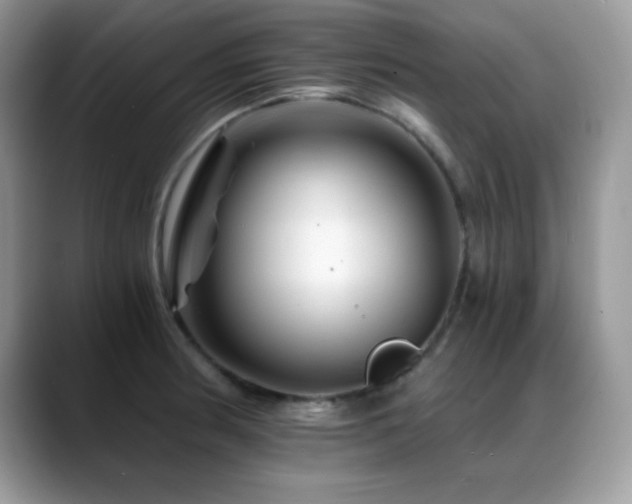 X0000088861186200706081147