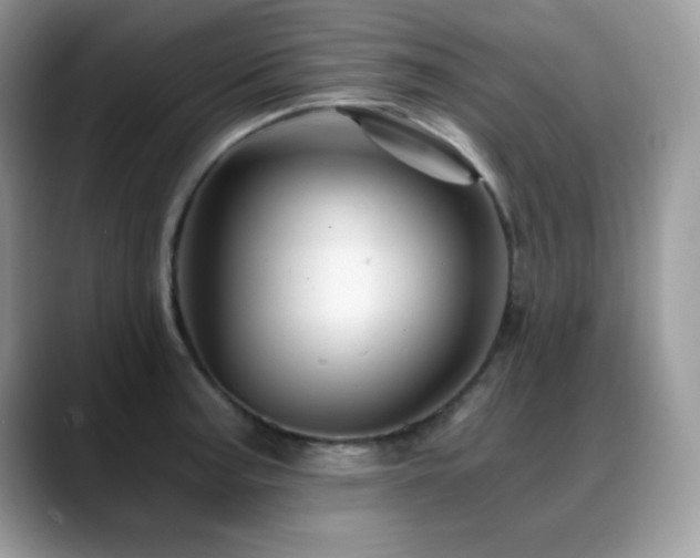 X0000088861187200706081147
