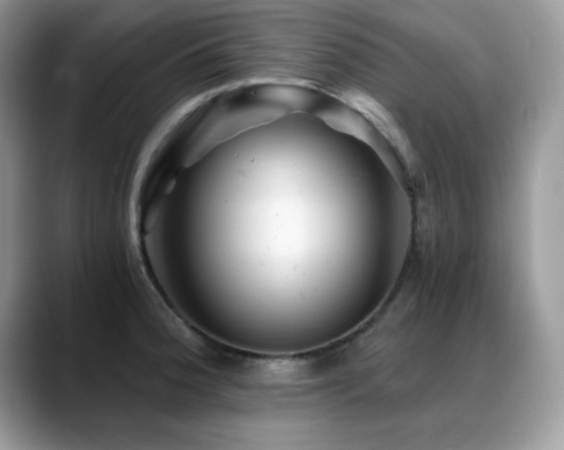 X0000088861188200706081147