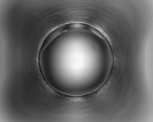 X0000088861189200706081147