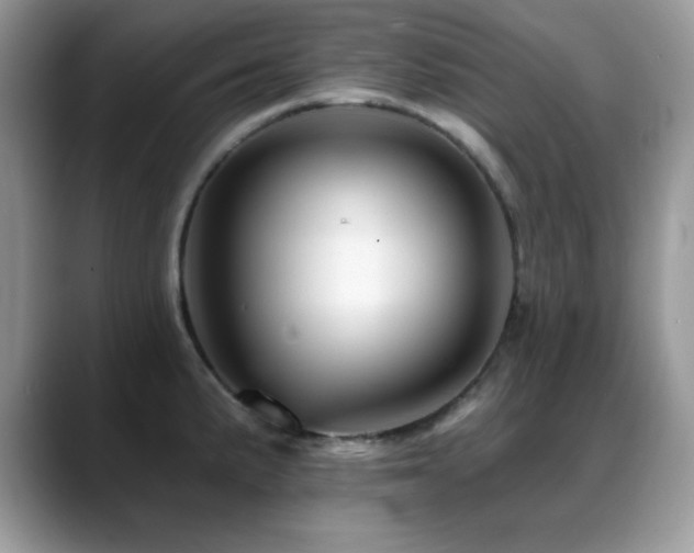 X0000088861191200706081147