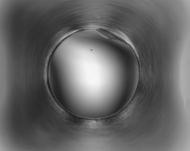X0000088861195200706081147