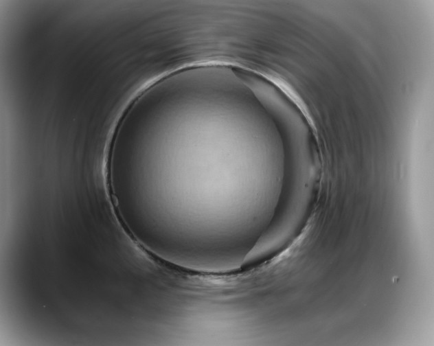 X0000088861197200706081147