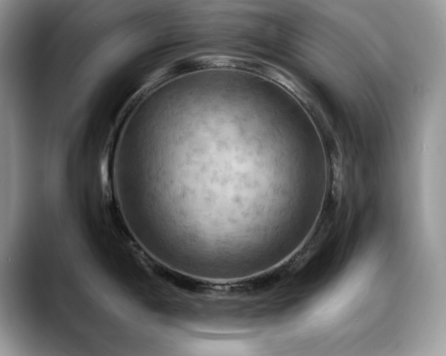 X0000088861198200706081147