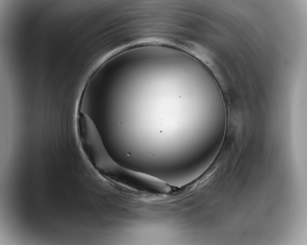X0000088861199200706081147