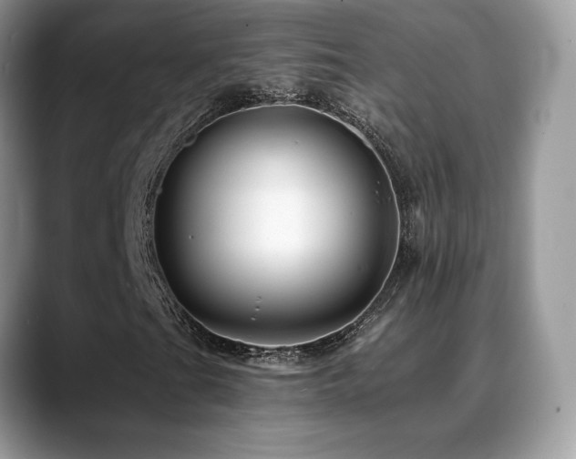 X0000088861201200706081146