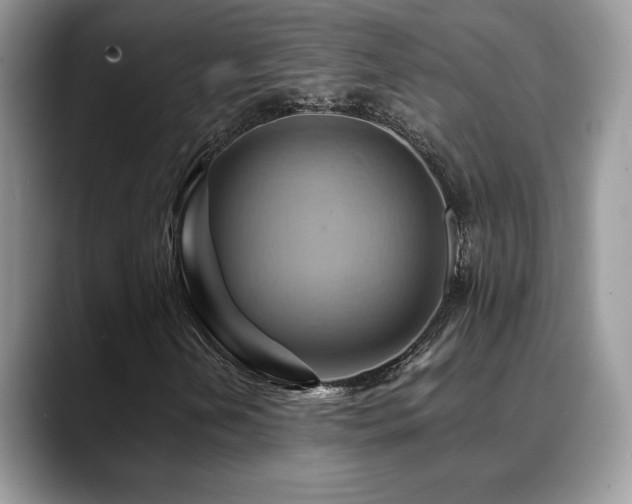 X0000088861202200706081147