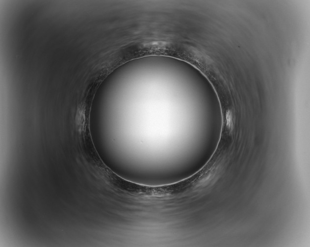 X0000088861203200706081147