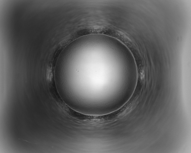 X0000088861204200706081147