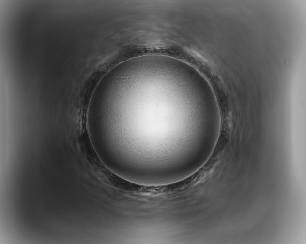 X0000088861205200706081147