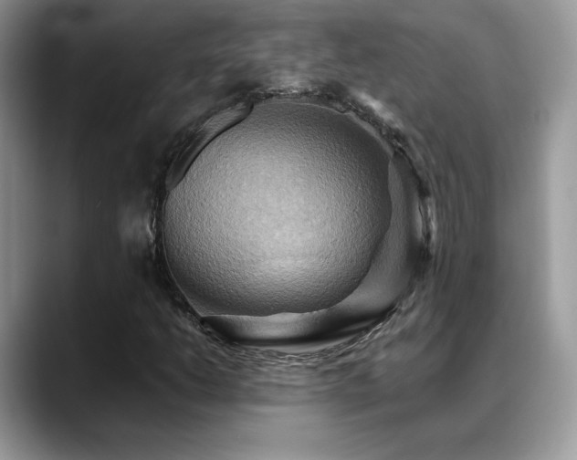X0000088861206200706081147