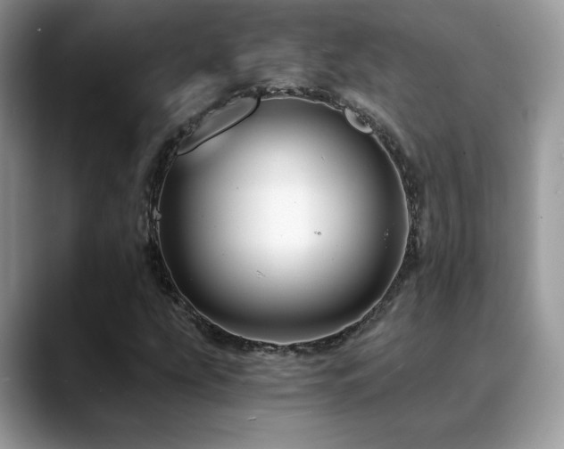 X0000088861207200706081147