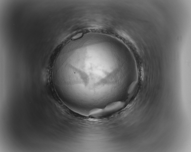 X0000088861208200706081147