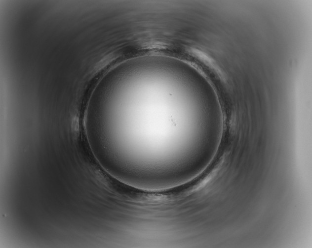X0000088861209200706081147