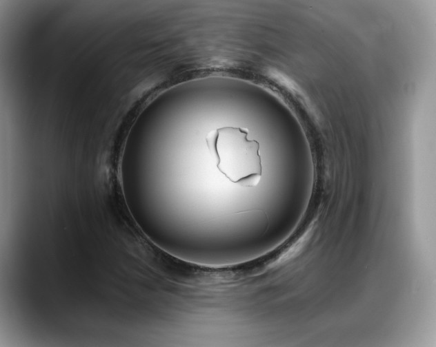 X0000088861210200706081147