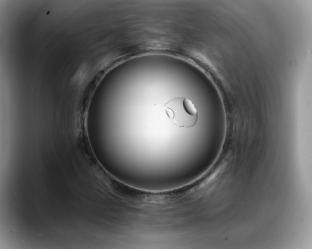 X0000088861211200706081147
