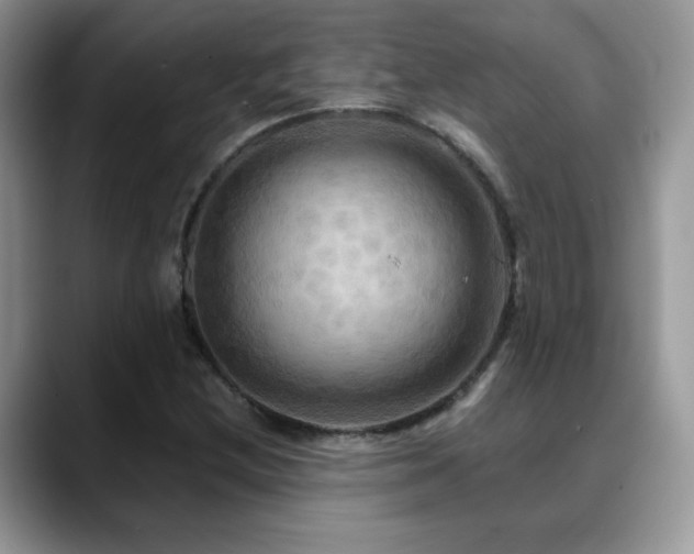 X0000088861212200706081147