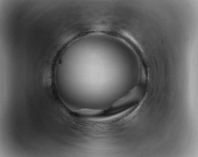 X0000088861213200706081147