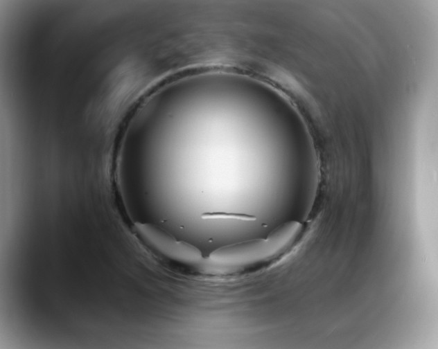 X0000088861216200706081147