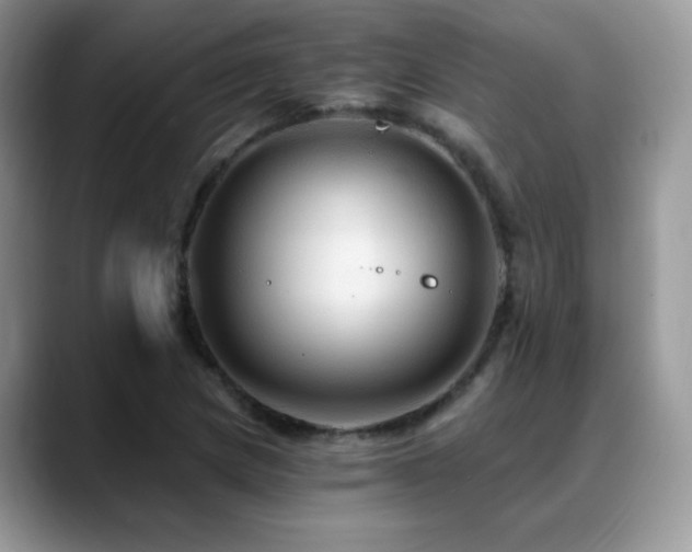 X0000088861217200706081147