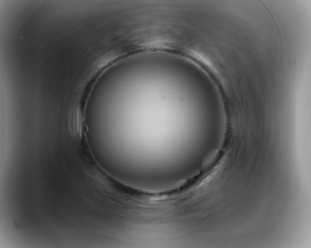 X0000088861219200706081147