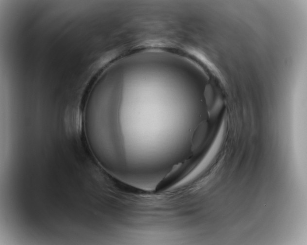 X0000088861221200706081147