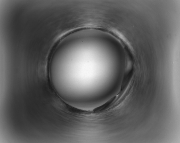 X0000088861222200706081147
