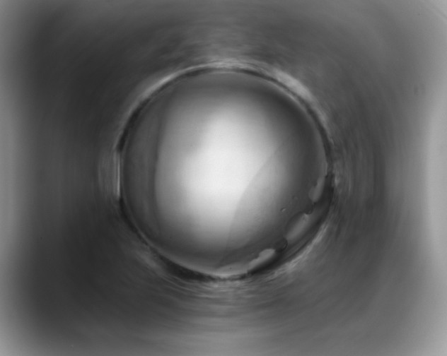 X0000088861223200706081147