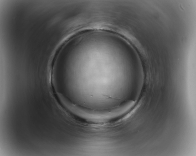 X0000088861224200706081147