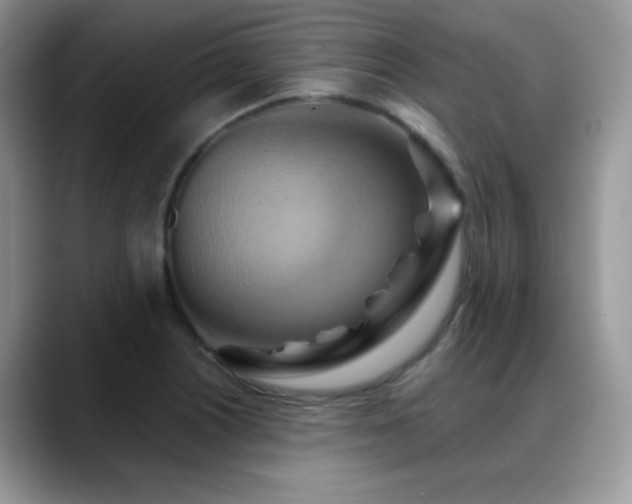 X0000088861226200706081147