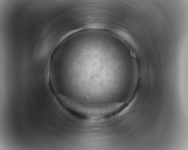 X0000088861228200706081147