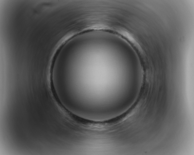X0000088861229200706081147