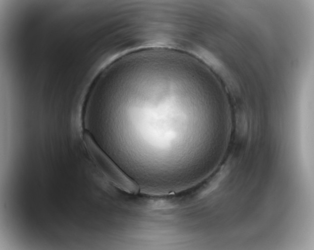 X0000088861230200706081147