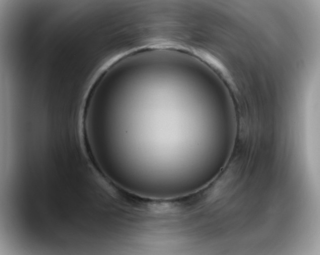 X0000088861231200706081147