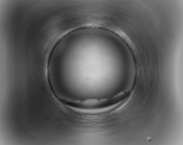 X0000088861232200706081147