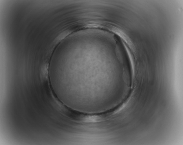 X0000088861233200706081147