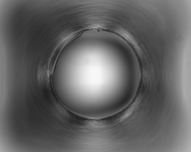 X0000088861234200706081147