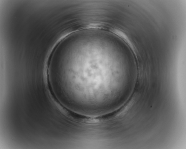 X0000088861235200706081147