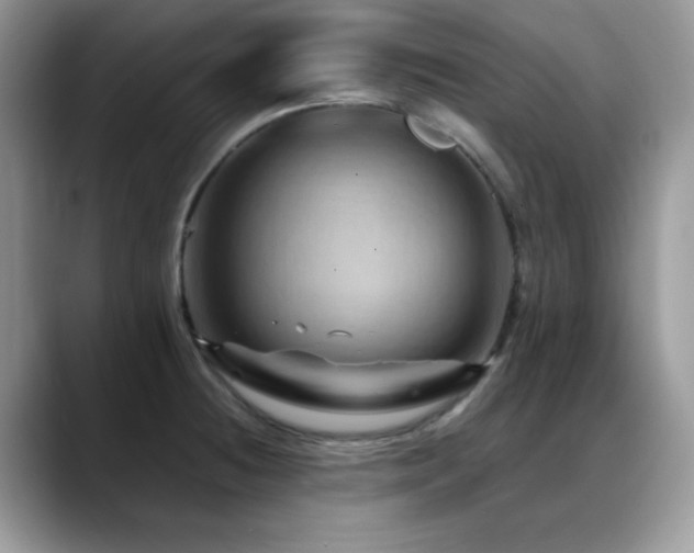 X0000088861236200706081147