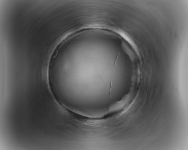 X0000088861237200706081147