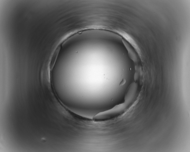 X0000088861238200706081147