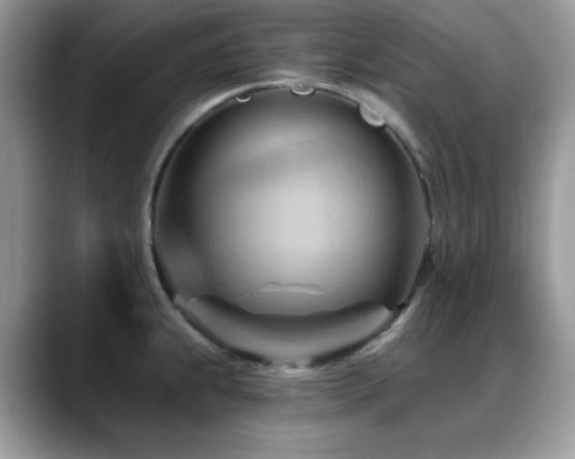 X0000088861239200706081147