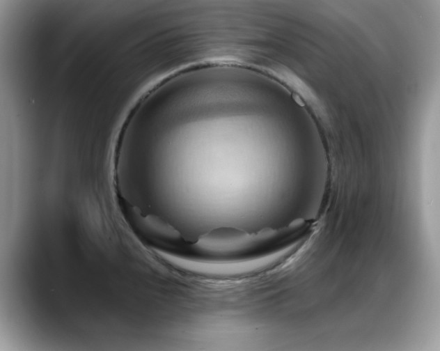 X0000088861240200706081147