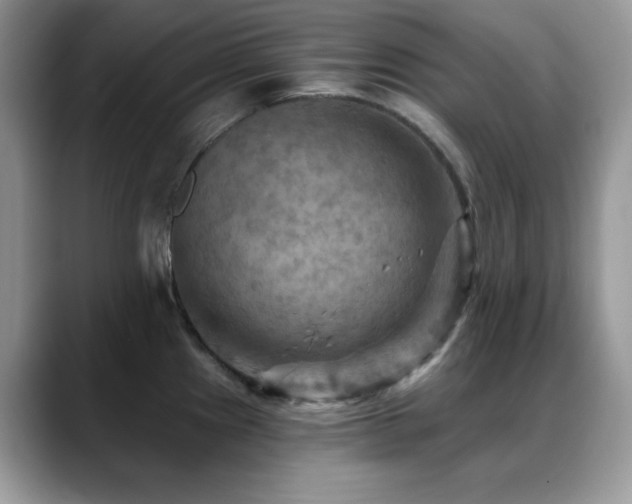 X0000088861241200706081147