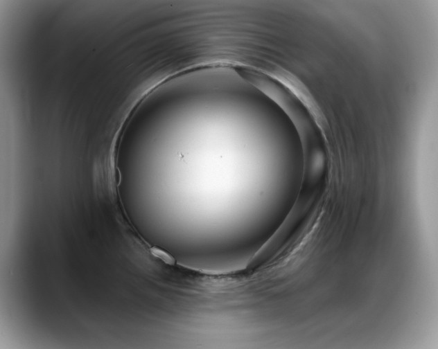 X0000088861242200706081147