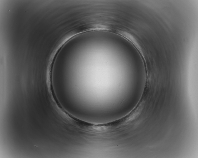 X0000088861243200706081147