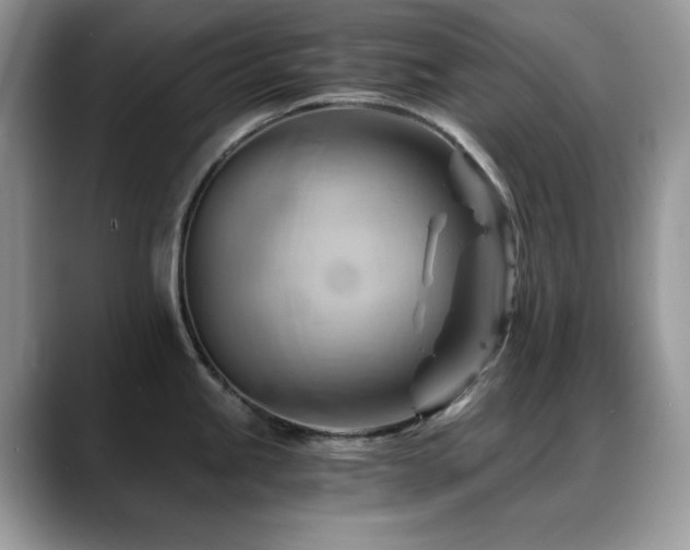 X0000088861245200706081147